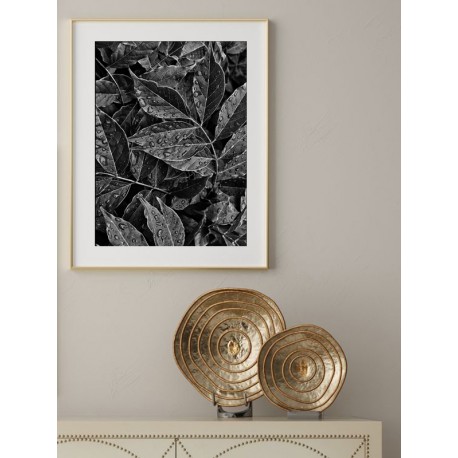 Постер "Leaves" Постер "Leaves"