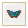 Постер в рамке "Botany. Butterflies"