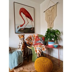 Постер в рамці "Американський фламінго. Джон Джеймс Одюбон (1838)"