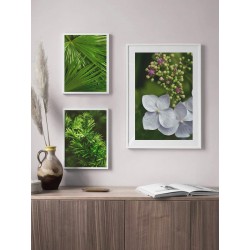 Постер в рамке "Hydrangea" размер на выбор