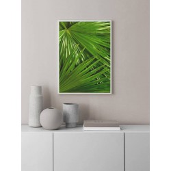 Постер в рамке "Пальма" размер на выбор