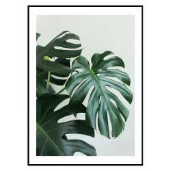 Постер в рамці "Монстера" розмір на вибір