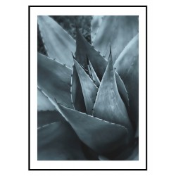 Постер в рамці "Агава" розмір на вибір