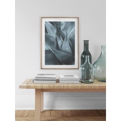 Постер в рамці "Агава" розмір на вибір