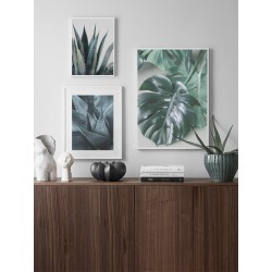 Постер в рамке "Агава" размер на выбор