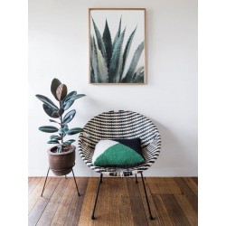 Постер в рамке "Агава" размер на выбор