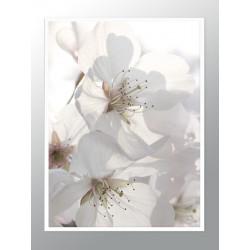 Постер в рамке "Весна" размер на выбор