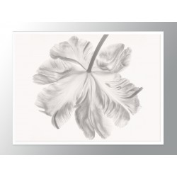 Постер в рамці "Квітка" розмір на вибір