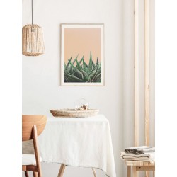 Постер в рамке "Хавортия полосатая" размер на выбор