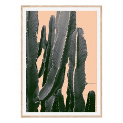 Постер в рамке "Молочай" размер на выбор