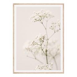 Постер в рамці "Лищиця" розмір на вибір