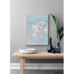 Постер в рамке "Вишневый цвет" размер на выбор