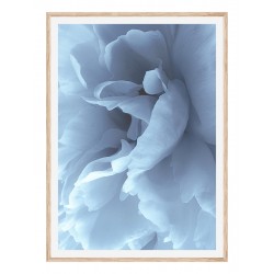 Постер в рамке "Beautiful Blue Flower" размер на выбор