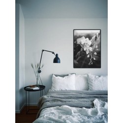 Постер в рамці "Фаленопсис" розмір на вибір