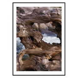 Постер в рамці "Pine" розмір на вибір