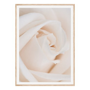 Постер в рамке "Rose" размер на выбор
