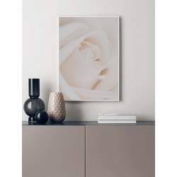 Постер в рамці "Rose" розмір на вибір