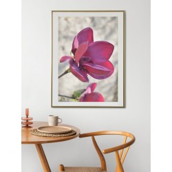 Постер в рамці "Магнолія " розмір на вибір