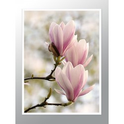 Постер в рамці "Магнолія " розмір на вибір