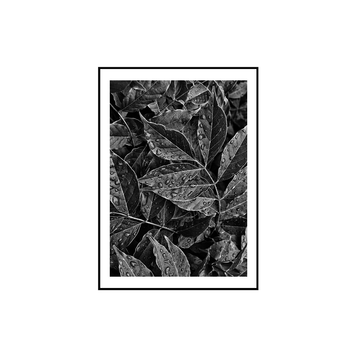 Постер в рамці "Leaves" розмір на вибір