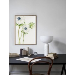 Постер в рамці "Anemone Flower Art" розмір на вибір