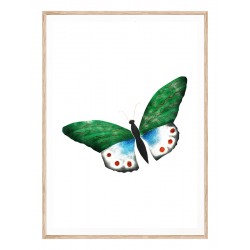 Постер в рамці "Butterfly vintage illustration " розмір на вибір