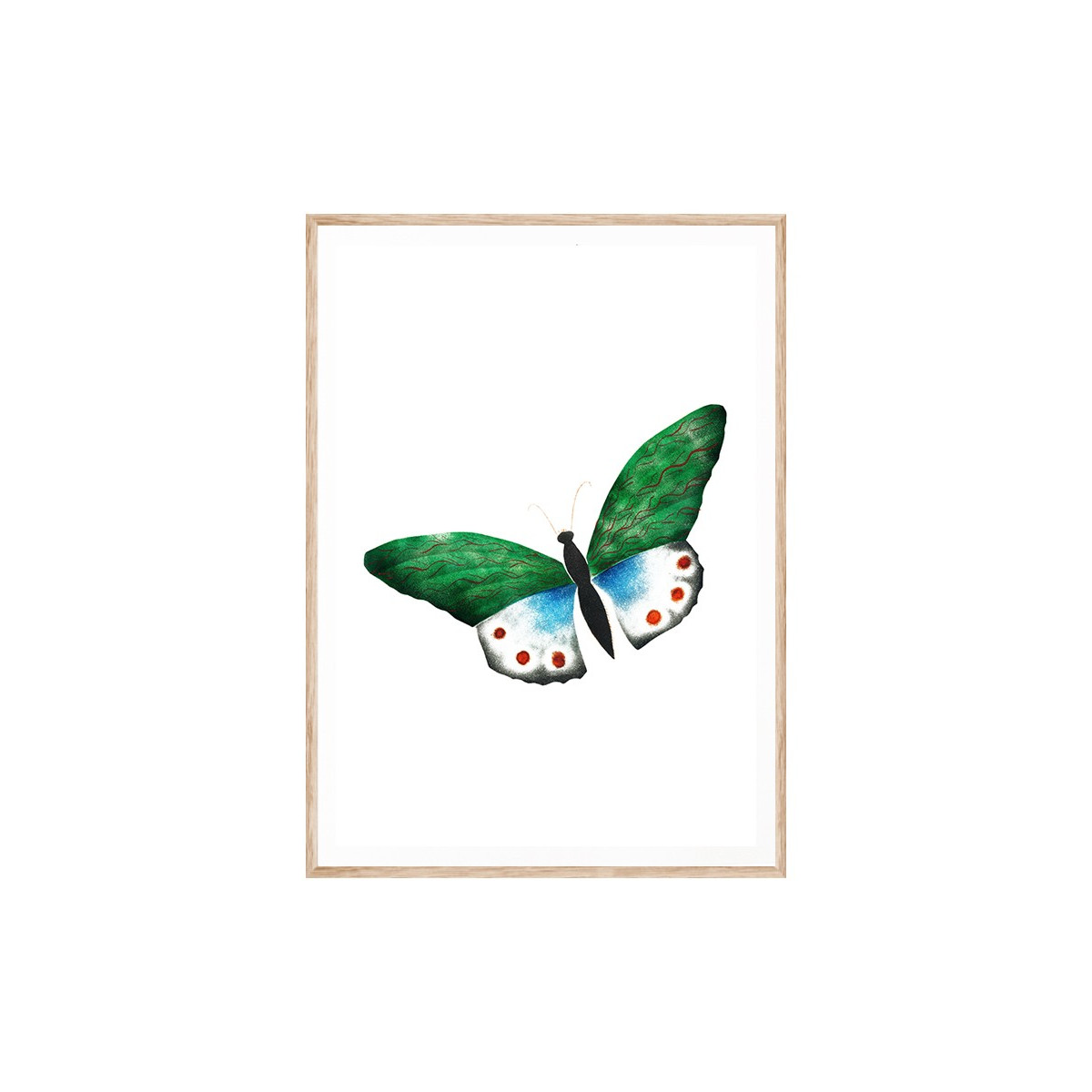 Постер в рамке "Butterfly vintage illustration " размер на выбор