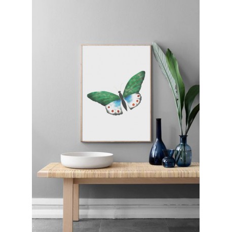 Постер в рамке "Butterfly vintage illustration " размер на выбор