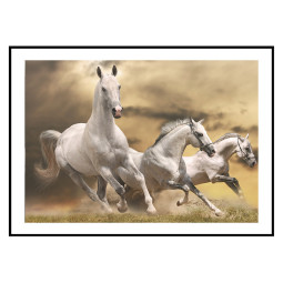 Постер плакат фото на папері для спальні офіса готеля Київ Україна