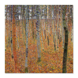 Постер плакат фото на папері для спальні офіса готеля Київ Україна