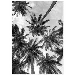 Постер плакат фото на папері для спальні офіса готеля Київ Україна