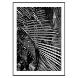 Постер плакат фото на папері для спальні офіса готеля Київ Україна