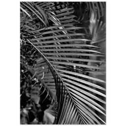 Постер плакат фото на папері для спальні офіса готеля Київ Україна