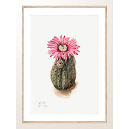 Постер плакат фото на папері для спальні офіса готеля Київ Україна