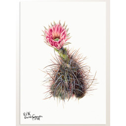 Постер плакат фото на папері для спальні офіса готеля Київ Україна