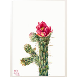 Постер плакат фото на папері для спальні офіса готеля Київ Україна