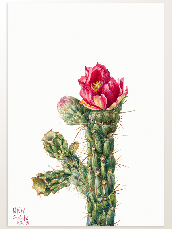 Постер плакат фото на папері для спальні офіса готеля Київ Україна