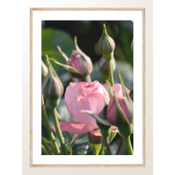 Постер плакат фото на папері для спальні офіса готеля Київ Україна