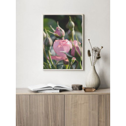 Постер плакат фото на папері для спальні офіса готеля Київ Україна