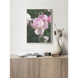 Постер плакат фото на папері для спальні офіса готеля Київ Україна