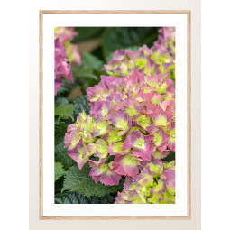 Постер плакат фото на папері для спальні офіса готеля Київ Україна