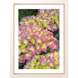 Постер плакат фото на папері для спальні офіса готеля Київ Україна