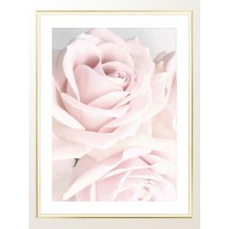 Постер плакат фото на папері для спальні офіса готеля Київ Україна