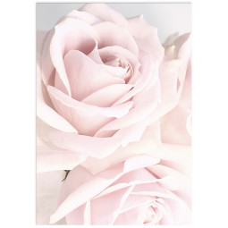 Постер плакат фото на папері для спальні офіса готеля Київ Україна