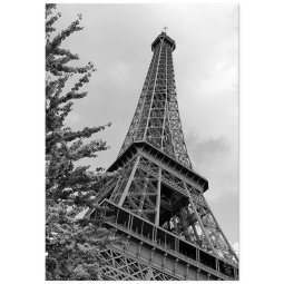 Постер плакат фото на папері для спальні офіса готеля Київ Україна