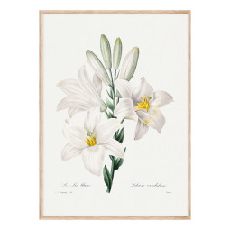 Постер плакат фото на папері для спальні офіса готеля Київ Україна