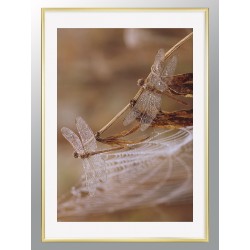 Комплект постеров в рамке "Tenderness"