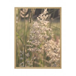 Комплект постеров в рамке "Nature"