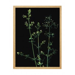 Комплект постеров в рамке "Вдохновение"