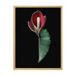 Комплект постерів в рамці "Натхнення"